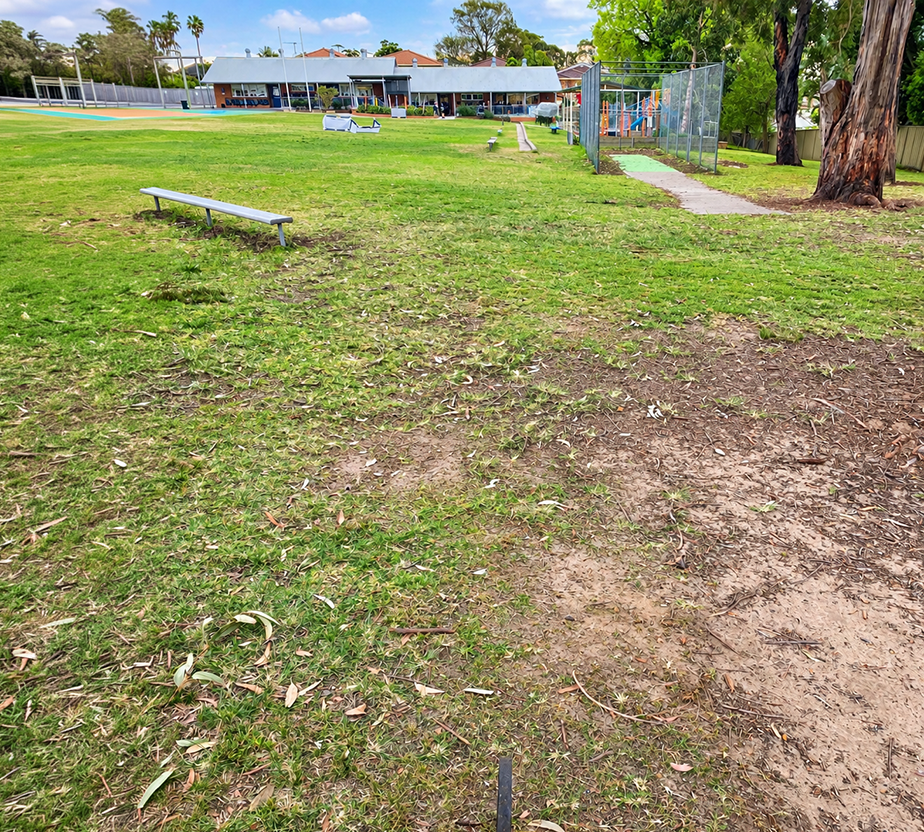 Bald Face Public School – Facility & Accessibility Upgrades — image 8