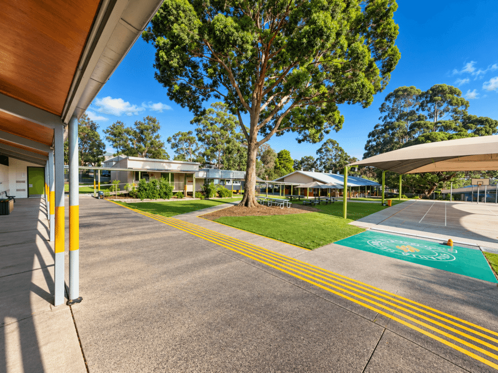 Sylvania Heights Public School – Vision Upgrades — image 10